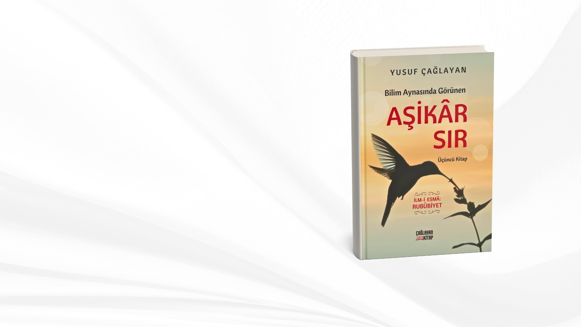 Bilim Aynasında Görünen AŞİKAR SIR